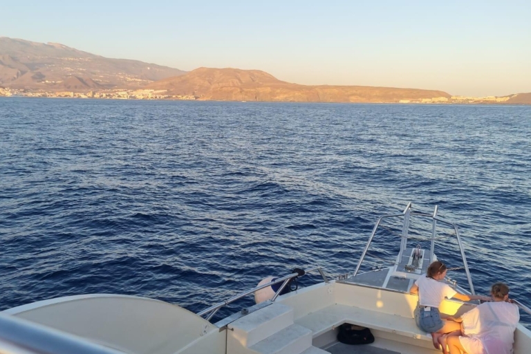 Los Cristianos : Excursion au coucher du soleil à bord d'un écoyacht pour observer les baleinesLos cristianos : excursion au coucher du soleil sur un ecoyacht pour observer les baleines