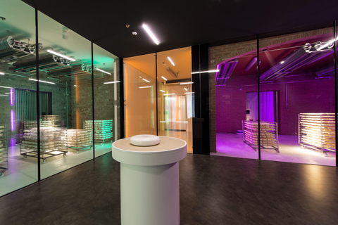 Capriz: Museum Ticket, Insight into Cheese Making, and Interactive Exhibition