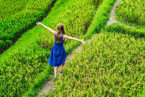 Ubud: Waterfalls, Sacred Monkey Forest & Rice Terraces Tour Private Half-Day Tour (5-6 Hours)