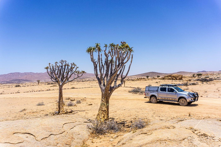 Walvisbay: Namib Naukluft Birding, Landscape & Photography
