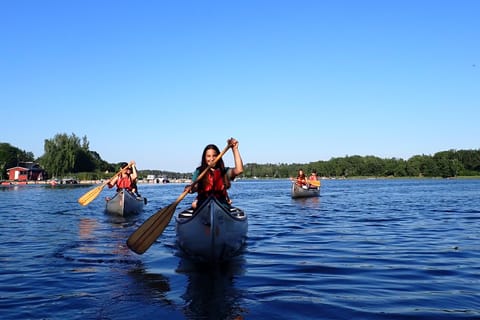 Stockholm: Biber-Safari mit dem Kanu bei Sonnenuntergang & Abendessen auf einer Insel
