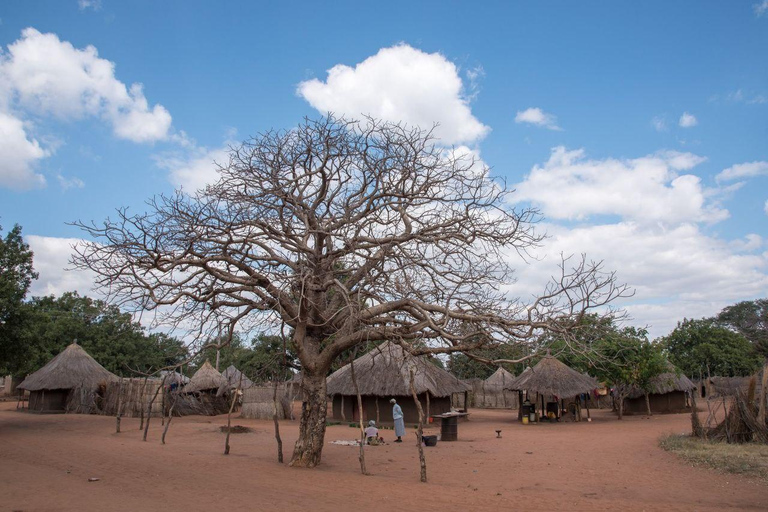 Livingstone: Passeio pela Vila Mukuni com Refeição TradicionalLivingstone: passeio pela aldeia de Mukuni com refeição tradicional
