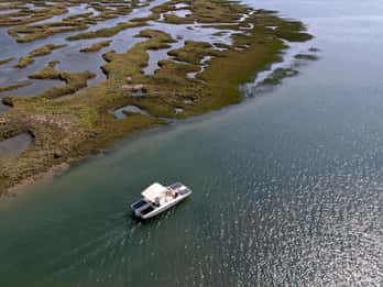 Faro: Ria Formosa Boat Tour by Eco-Friendly Solar Boat