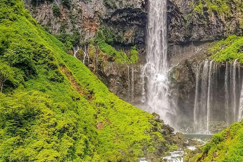 Visite touristique de Nikko en charter privé avec guideDepuis Tokyo : Nikko visite privée d'une journée