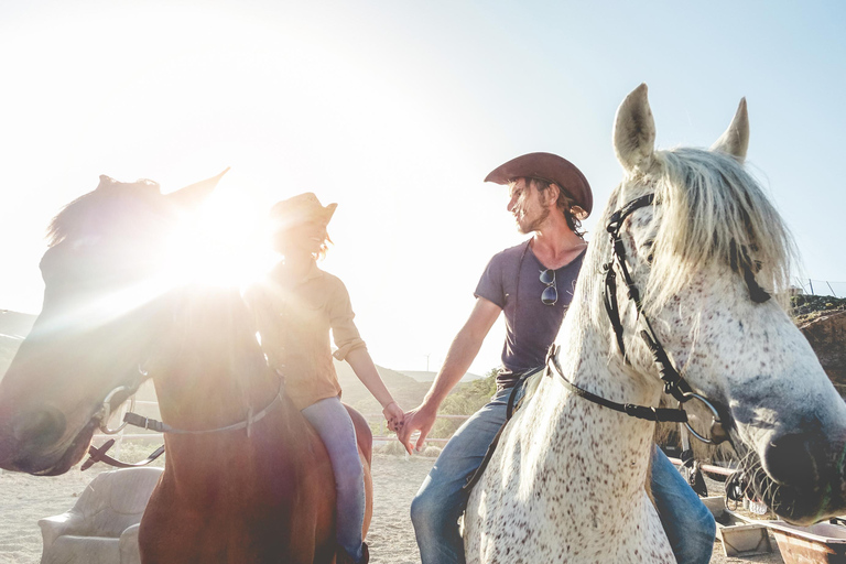Doha: Private Beach Horse Riding Experience with Pickup Private Seaside Horse Riding
