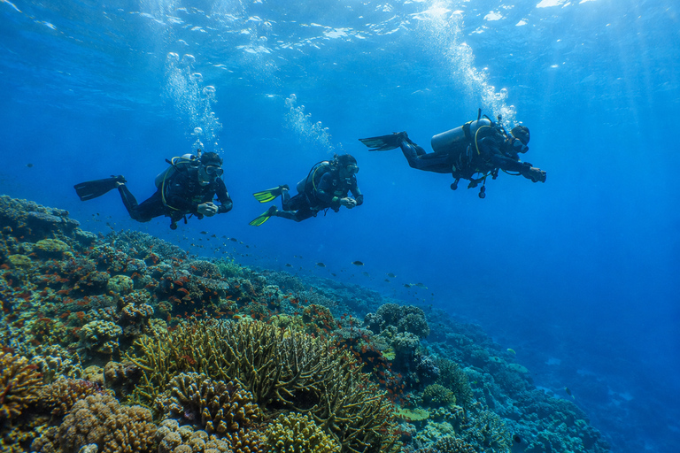 Marsa Alam: Marsa Egla 2-Guided Shore Dives with Pickup
