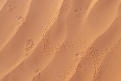 A day trip: Discover Tataouine,Chenini and Ksar Ghilene