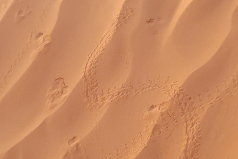 A day trip: Discover Tataouine,Chenini and Ksar Ghilene