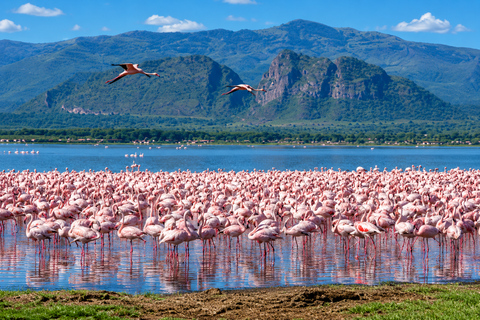 From Arusha: Lake Natron Flamingo and Waterfall Day Trip