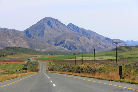 Au départ du Cap : 4 jours d'excursion de luxe sur la Route des jardins