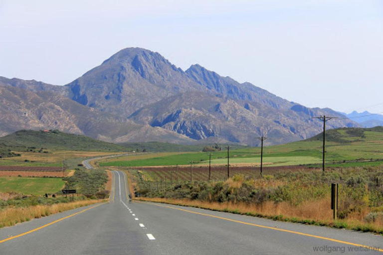 Au départ du Cap : 4 jours d'excursion de luxe sur la Route des jardins