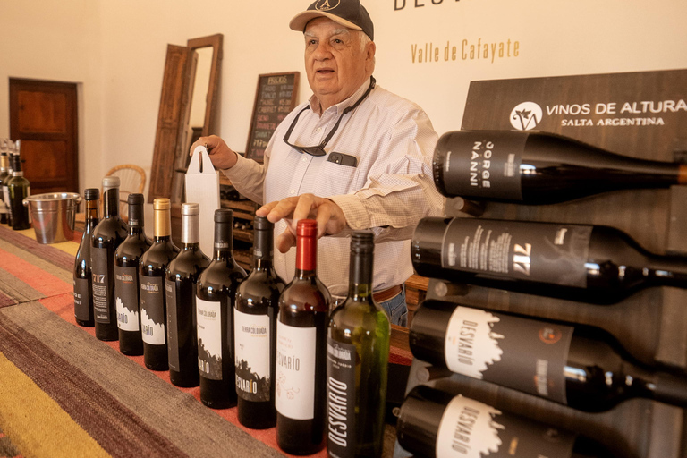 Cafayate: Tour de dia completo por bodegas y degustacion de vinos