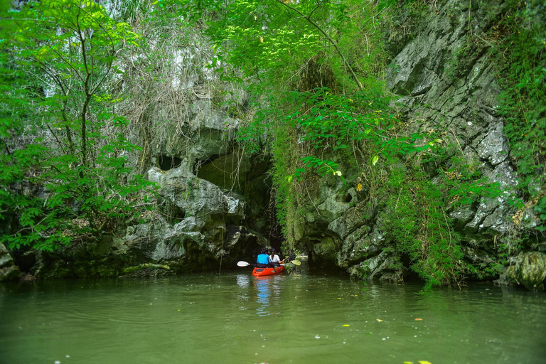 Krabi : visite d&#039;une demi-journée Bor Thor Mangrove Kayak Tour