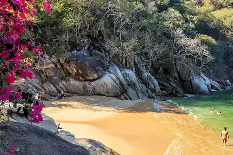 Jungle et plages exotiques : Randonnée à Puerto Vallarta