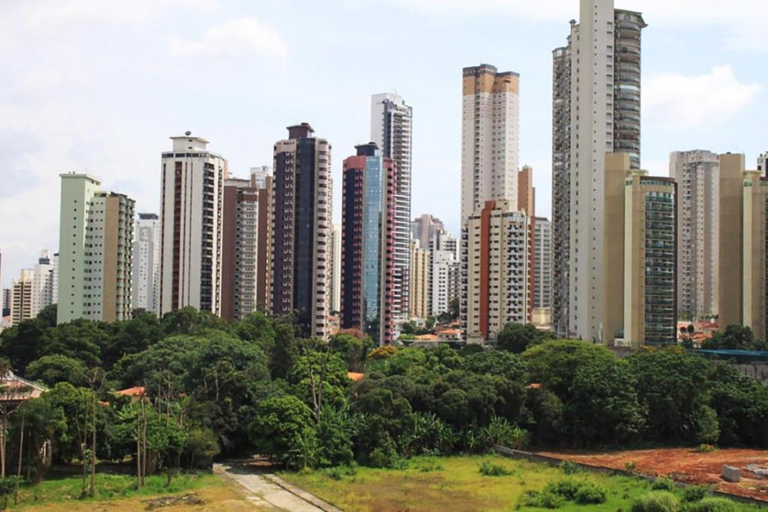 Layover Tour: Discover São Paulo in Just a Few Hours!