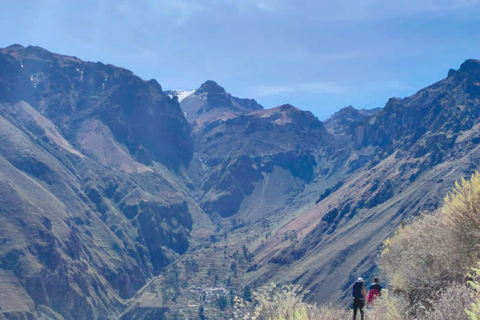 From Arequipa: 2-day Colca hike, meals includedcaminhada