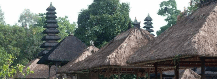 Bali : visite d'une jounée de la ville de Denpasar