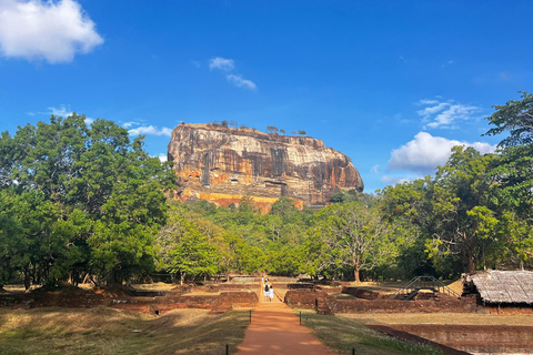 Negombo: Sigiriya, Dambulla & Elephant Safari Day Trip