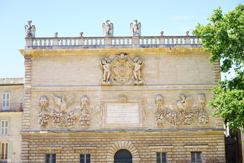 Avignon - Visite privée à pied de la vieille ville