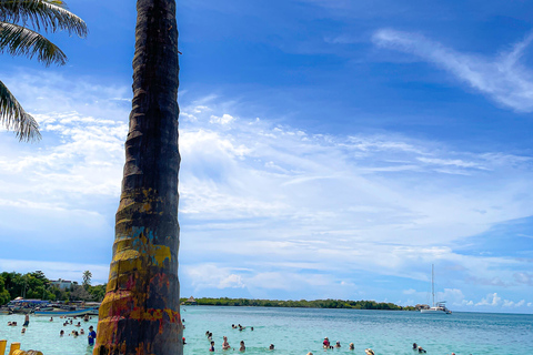 Tinti Pan - Santa Cruz del Islote - Múcura