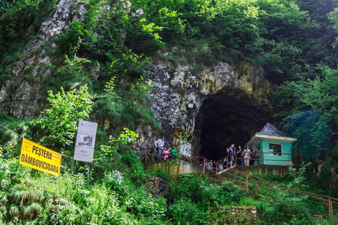 Brașov: Dracula's Castle, Bear Sanctuary, & Cave Tour