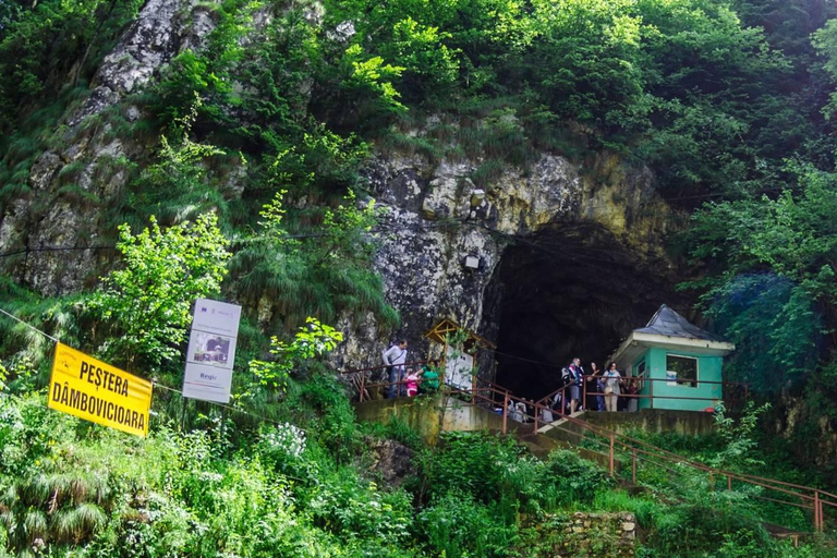 Brașov: Dracula's Castle, Bear Sanctuary, & Cave Tour