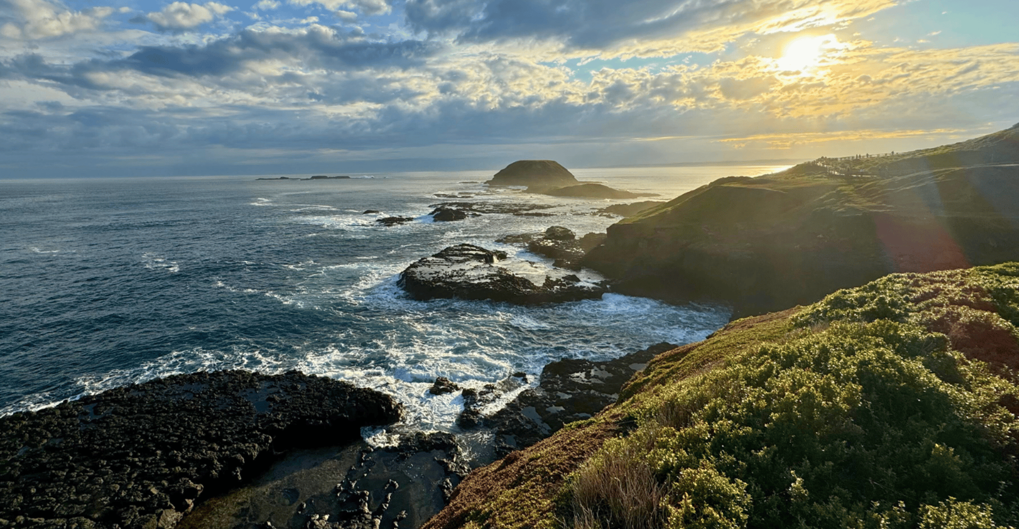 From Melbourne: Penguin Parade Afternoon Tour photo 9