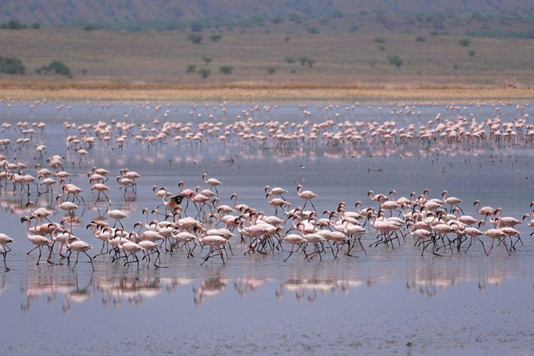 From Nairobi: Lake Magadi 2-Day Trip with Game Drive & Hike