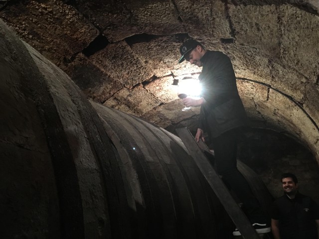 Visit Half Day Rioja Wine Tour (from Rioja) in Elciego