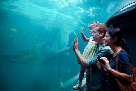 Los Angeles: Aquarium of the Pacific Annual Membership