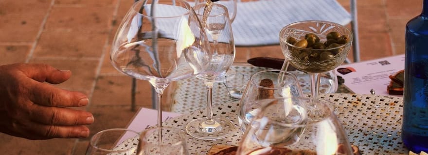 Majorque : Dégustation gastronomique de vins et de produits locaux