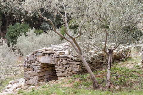 Luberon: Paseo en bici por el Muro de la Peste