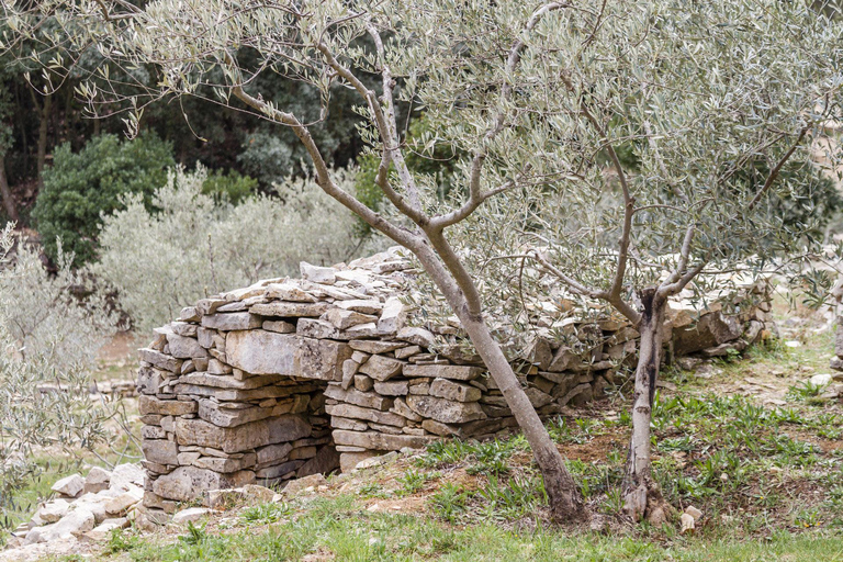 Luberon : Randonnée à vélo sur le mur de la peste