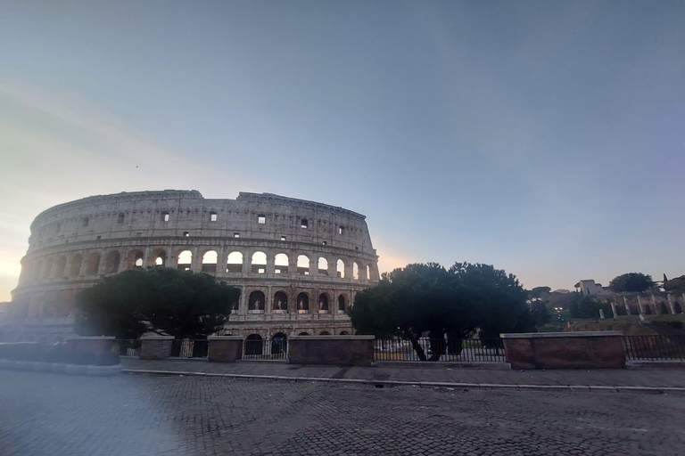 Roma: Colosseo, Foro Romano e Ingresso al PalatinoRoma: Colosseo, Foro Romano e Palatino Biglietto di ingresso prioritario