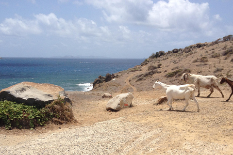 St. Maarten: Guana Bay Coastal Hike