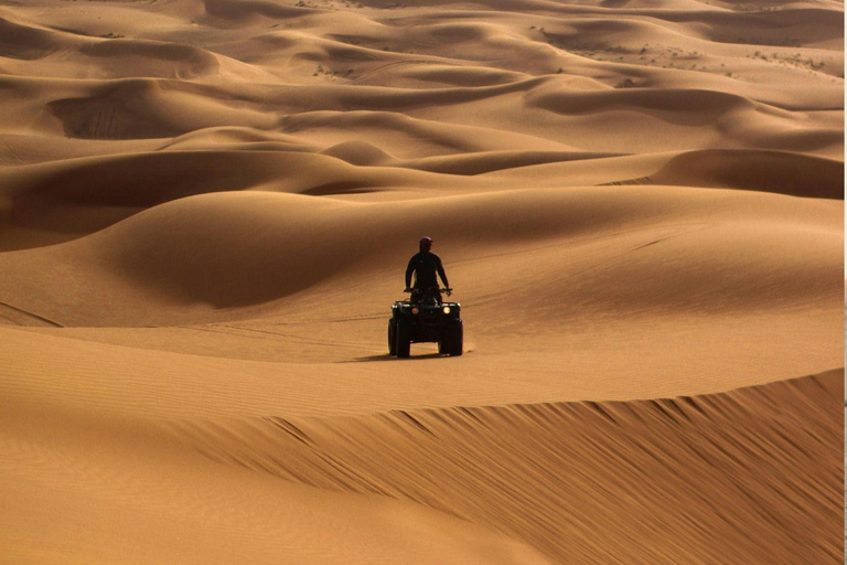 Doha:Inland Sea Guided Tour with Local Expert & Refreshments