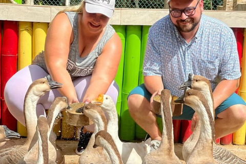 Vogel-, Tierschutzgebiet und Unkraut Form Tour