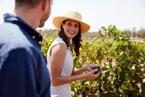 Desde Sydney: Ruta del Vino de Lujo por el Valle de Hunter con Buena Comida