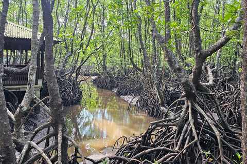El Nido/Port Barton: 3-Day North Palawan Loop Motorbike Tour