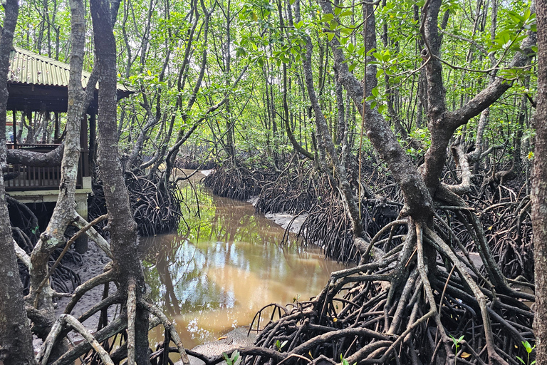 El Nido/Port Barton: 3-Day North Palawan Loop Motorbike Tour