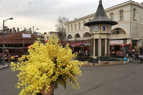 Depuis Istanbul: visite à pied d'une journée à Büyükada