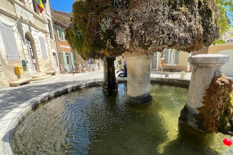 Provence Gourmet Market & Village Tour: Aix, Cucuron, & Lourmarin