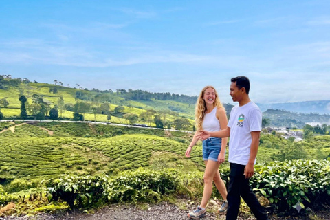 Jakarta: White Crater, Sky Bridge & Hot Springs Premium Tour Bandung: White Crater, Bridge & Hot Springs Tour