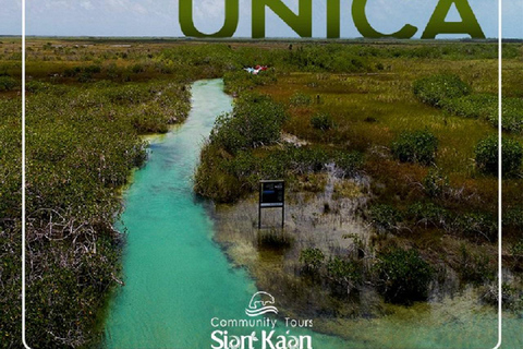 Tulum: Sian Ka'an Biosphere Reserve Ancient Maya Canals Tour
