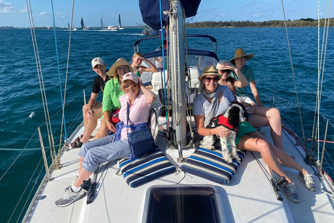 Gold Coast: Midday Sailing Cruise incl food & drinks Gold Coast: Midday Sailing Cruise with food & drinks