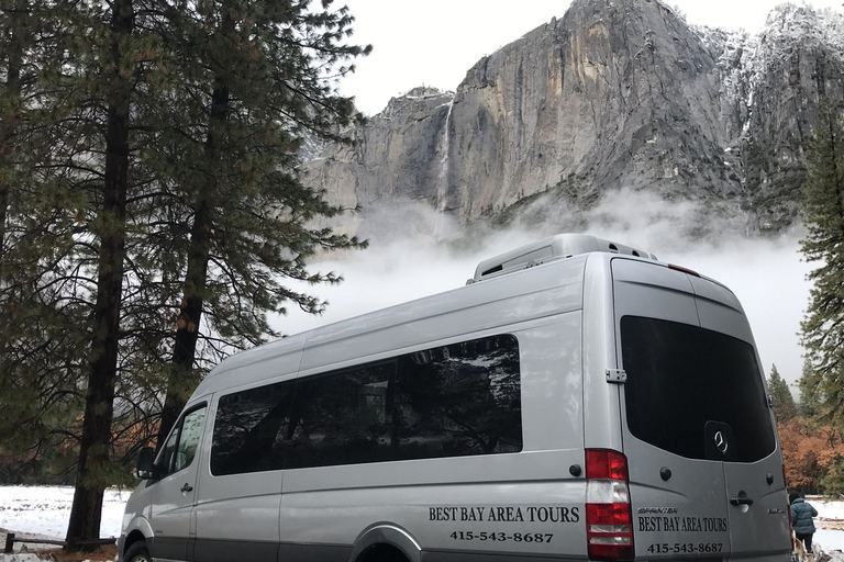 Van San Francisco: Yosemite-tour met wandeling met gigantische sequoia's