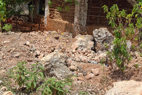 Mtwapa:Excursión de un día por las ruinas Jumba y la aldea de Bush y cena en la aldea.