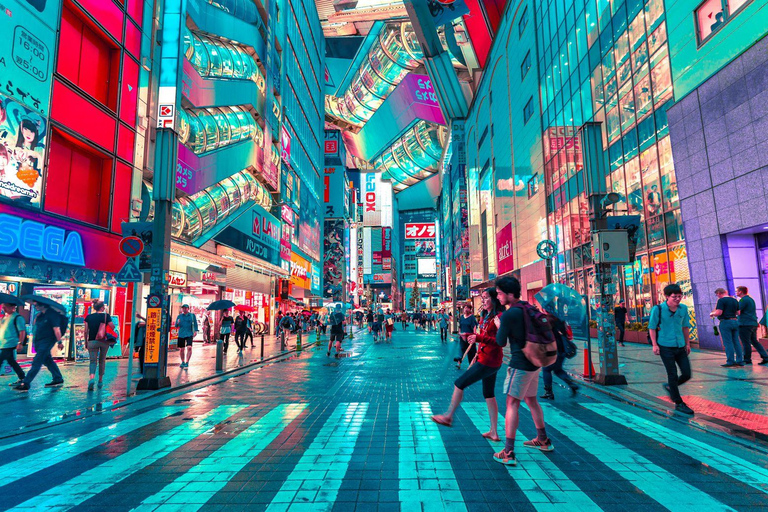 Visite privée d&#039;une journée à Tokyo en voiture avec chauffeur anglais