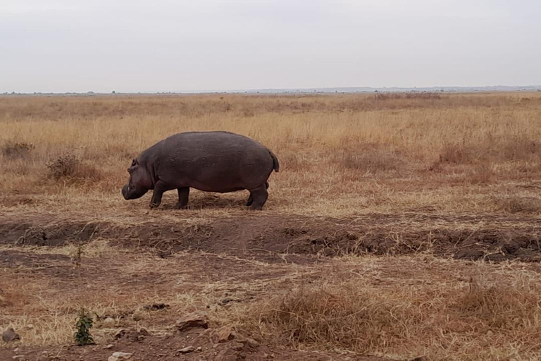 Nairobi: City Highlights Guided Tour with Hotel Pickup