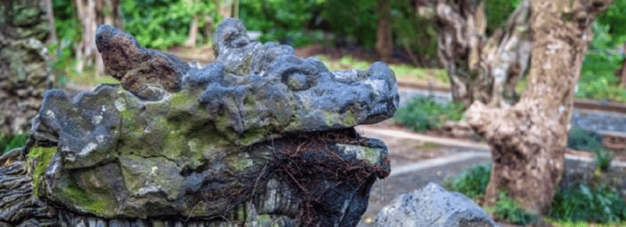 Haikou : visite du parc du cratère volcanique et du temple Yongqing